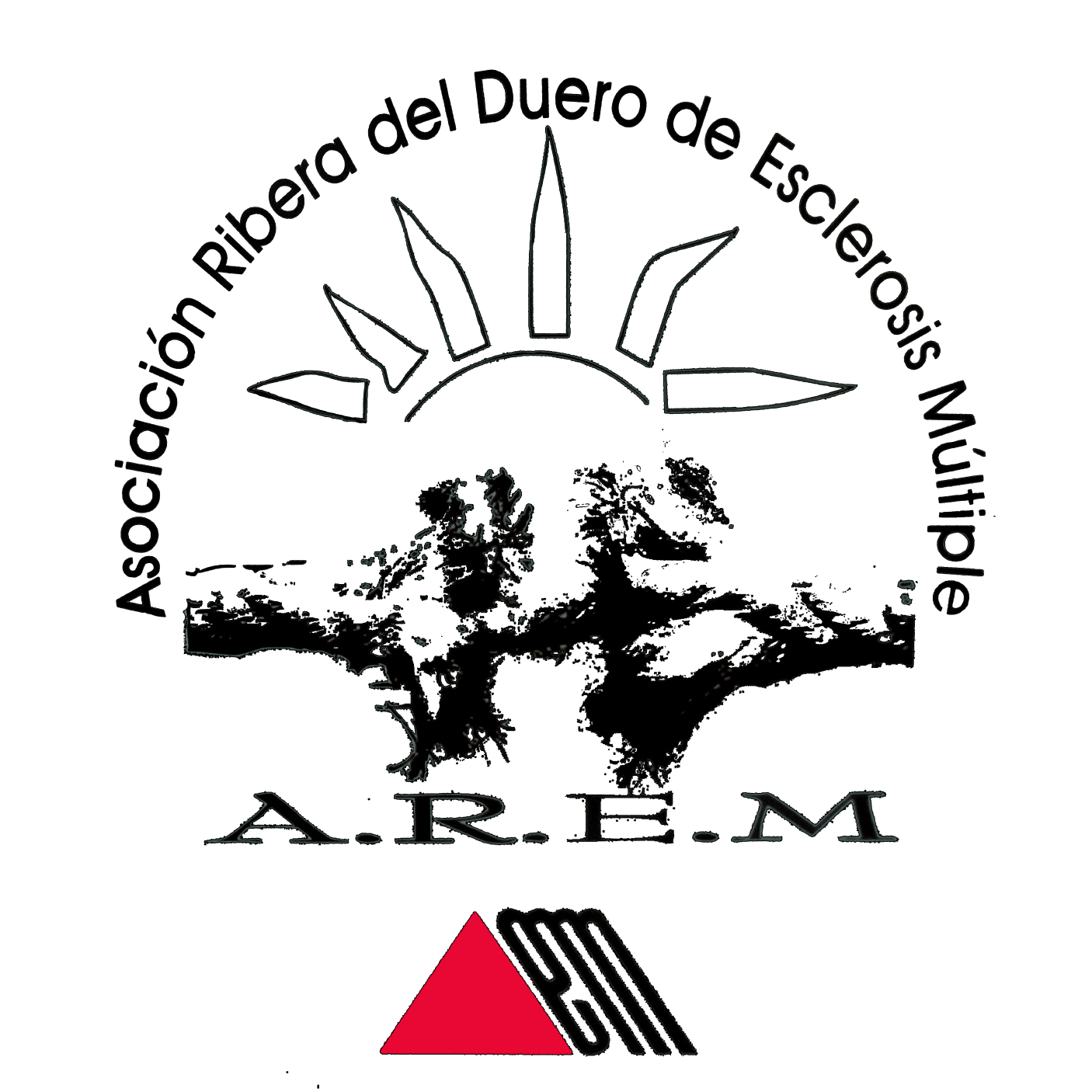 Asociación Ribera del Duero Esclerosis Múltiple