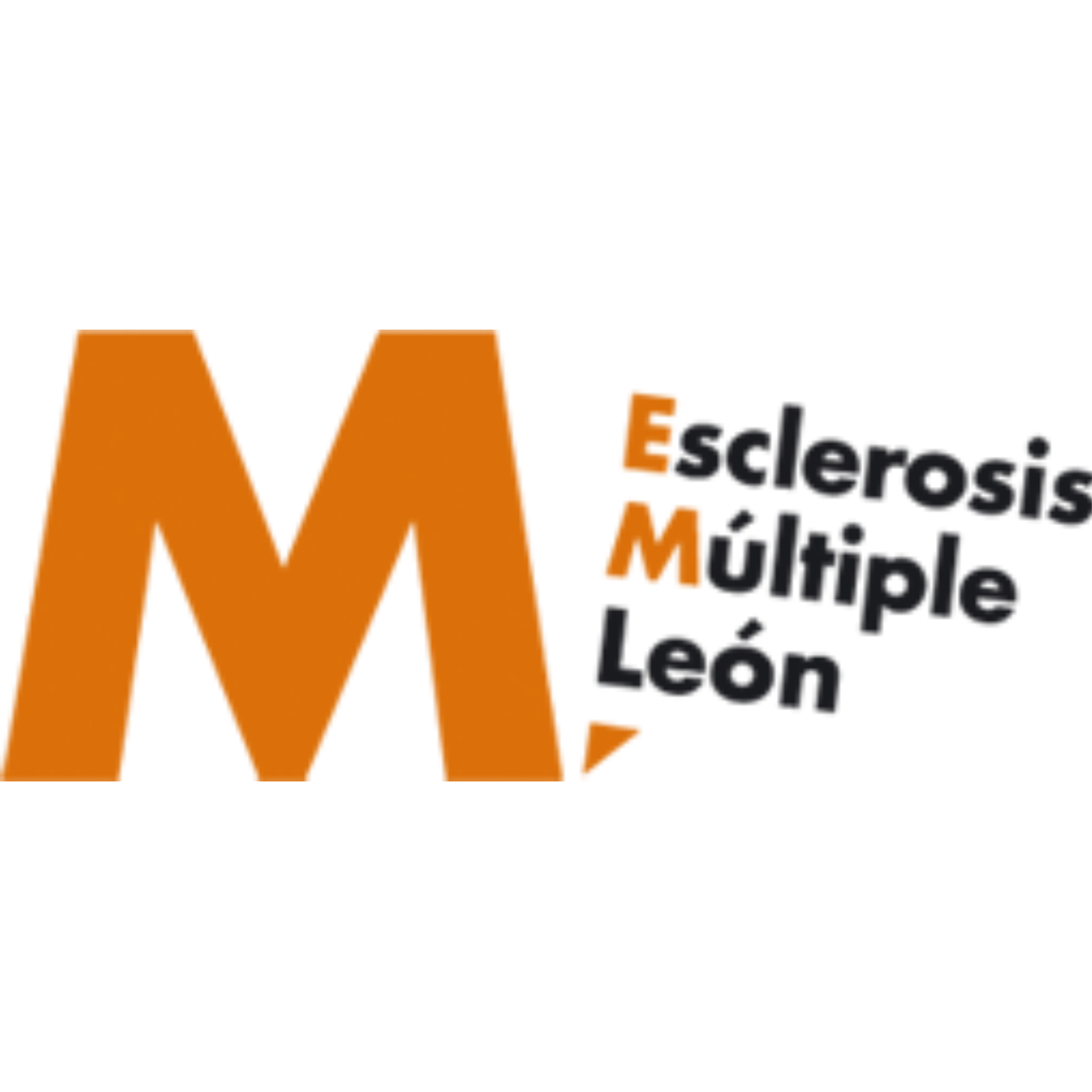 Asociación Esclerosis Multiple León