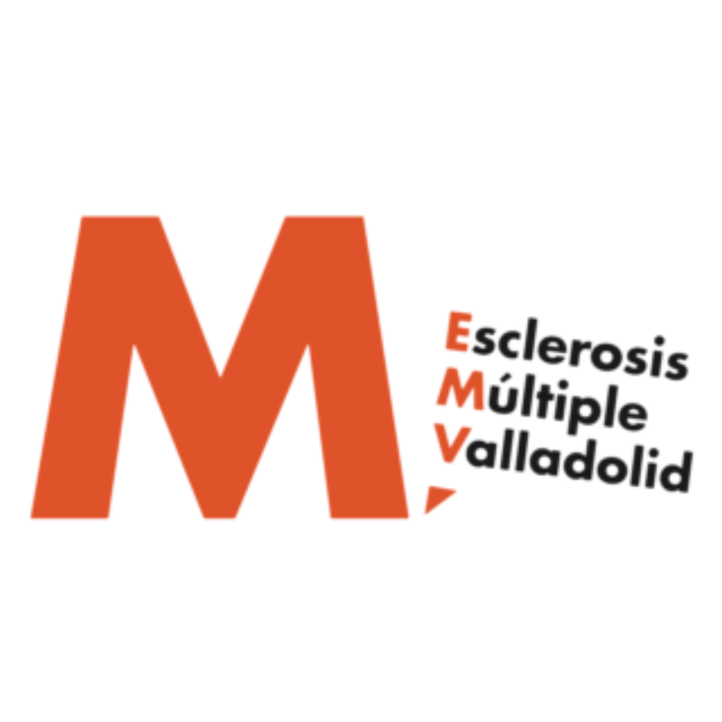 Asociación Esclerosis Multiple Valladolid