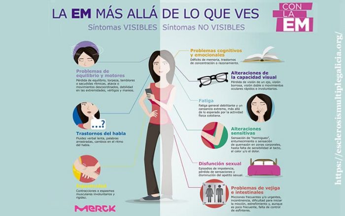 Infografía Esclerosis Múltiple 2024